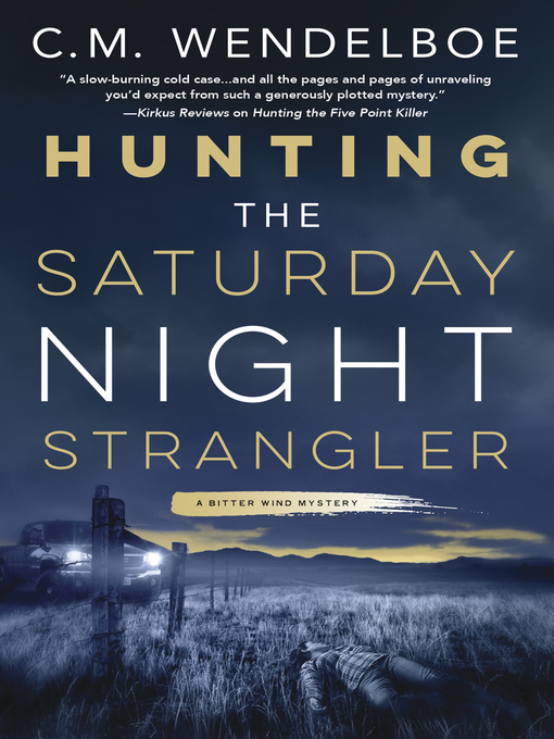 Cover image for Hunting the Saturday Night Strangler
